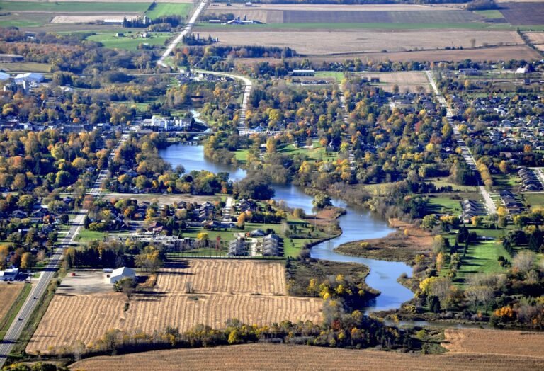 Driving National Growth A Strategic Economic Development Plan for Rural Canada.