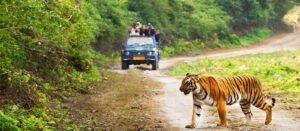 Jim Corbett National Park