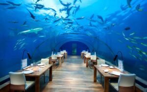 Your Guide to the Perfect Maldives Vacation — From Chic Hotels to the Best Time to Visit