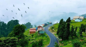 Chopta One of India's Popular Summer Destinations