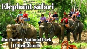 Elephant Safari Jim Corbett National Park ( UK )