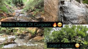 Hidden Waterfall In Gurgaon 🙈❤️