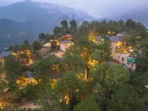 Jungle Lodge Resort, Kasauli