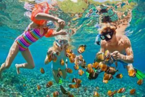 Snorkeling In Lakshadweep, Book Now @ Upto 25% OFF