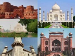 Taj Mahal To Fatehpur Sikri 5 Best Places To Visit In Agra