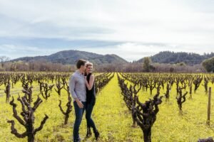 Best Time to Visit Napa Valley