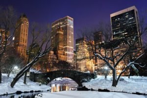 Central Park in Winter Wall Mural 