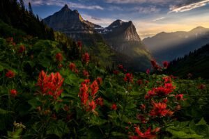 Glacier National Park