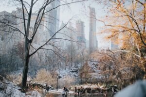 New York City in Winter