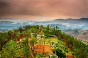 Ranikhet Hill Station Tourism & Travel Guide