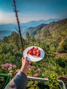 This Ranikhet homestay.