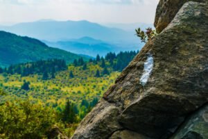 Virginias Appalachian Trail.