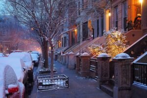 Winter Guide Every Delightful Thing to do in New York City.