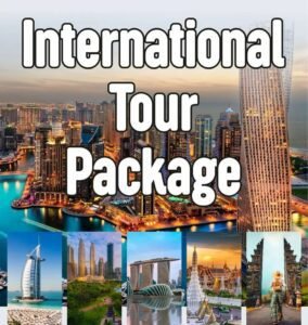 International Tour Package Service at Rs 25999 person.