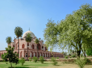 Beautiful places in Delhi to enjoy the winter sun.