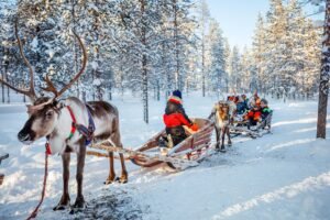 Weather in Finland in December.