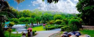 Book Forest Rest House in Dhikala Zone