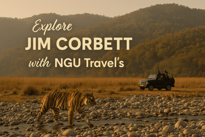 Visit Jim Corbett National Park.