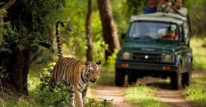 Jim Corbett National Park