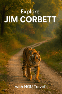 Visit Jim Corbett National Park.